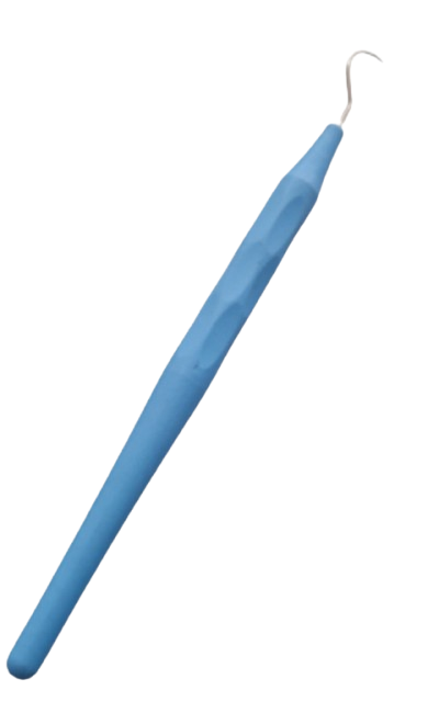 1000368253-removebg-preview